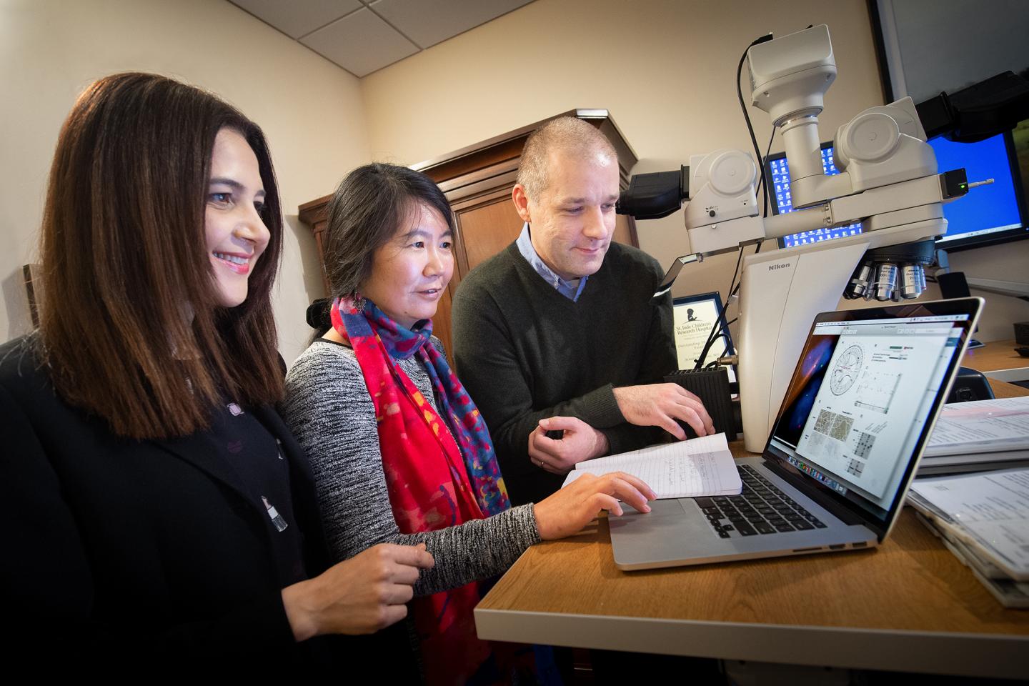 Corresponding Authors