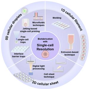 Enabling methods to generate and construct the single-cell building blocks