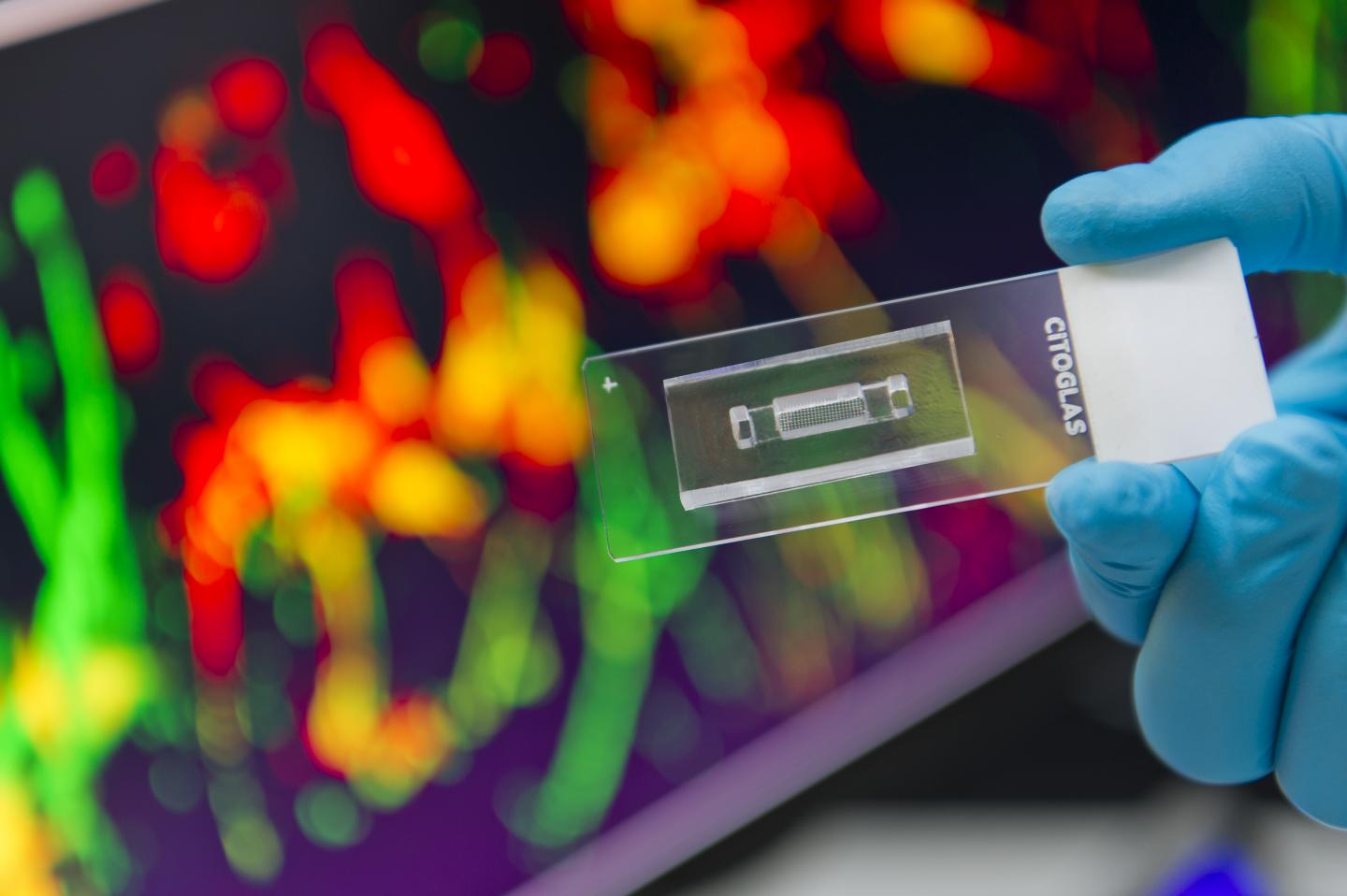 Microarrayed 3D Platform