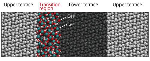 Figure 2: A Simulation Model of the Transition Region