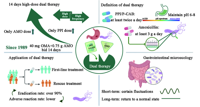 Dual therapy for Helicobacter pylori eradication