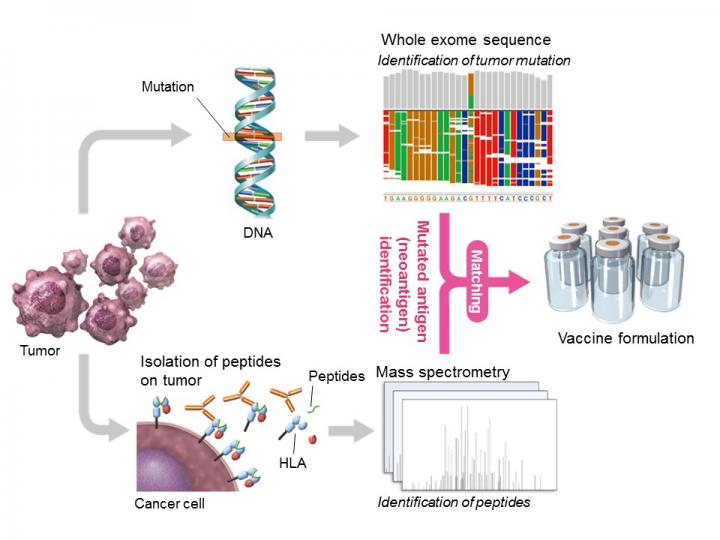 Neoantigen Vaccine