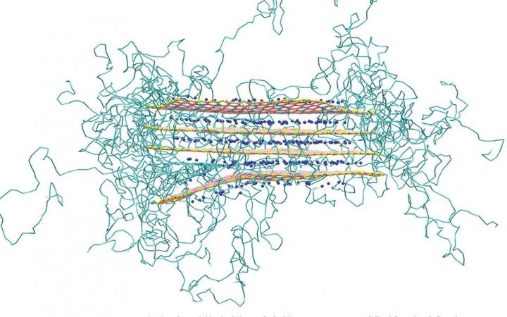 Clay Particle with Polymers