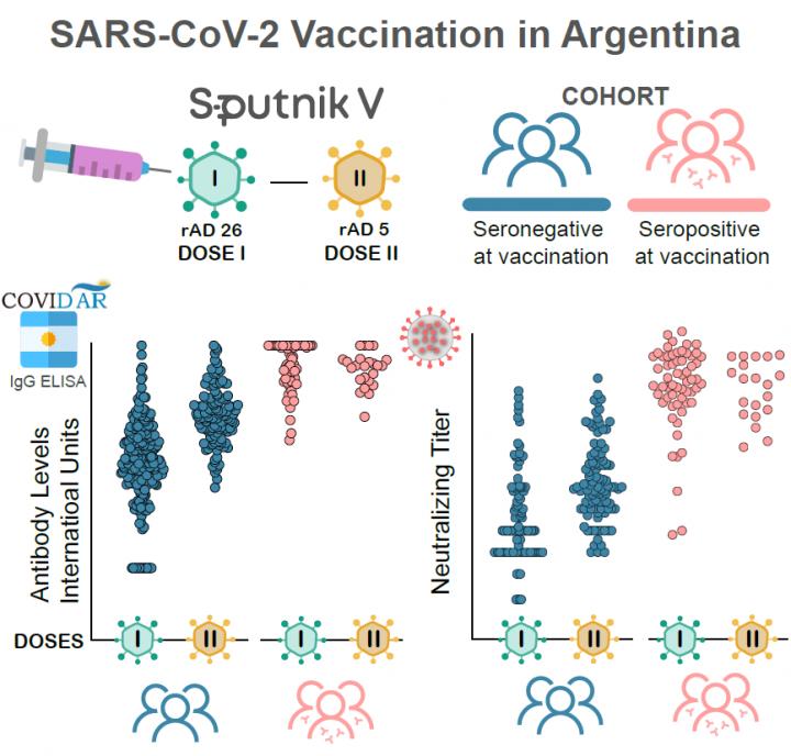 Antibody responses to Sputnik V vaccine in Argentina