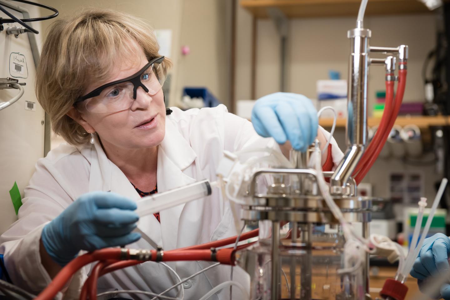 Research Could Lead to Lower Drug Prices