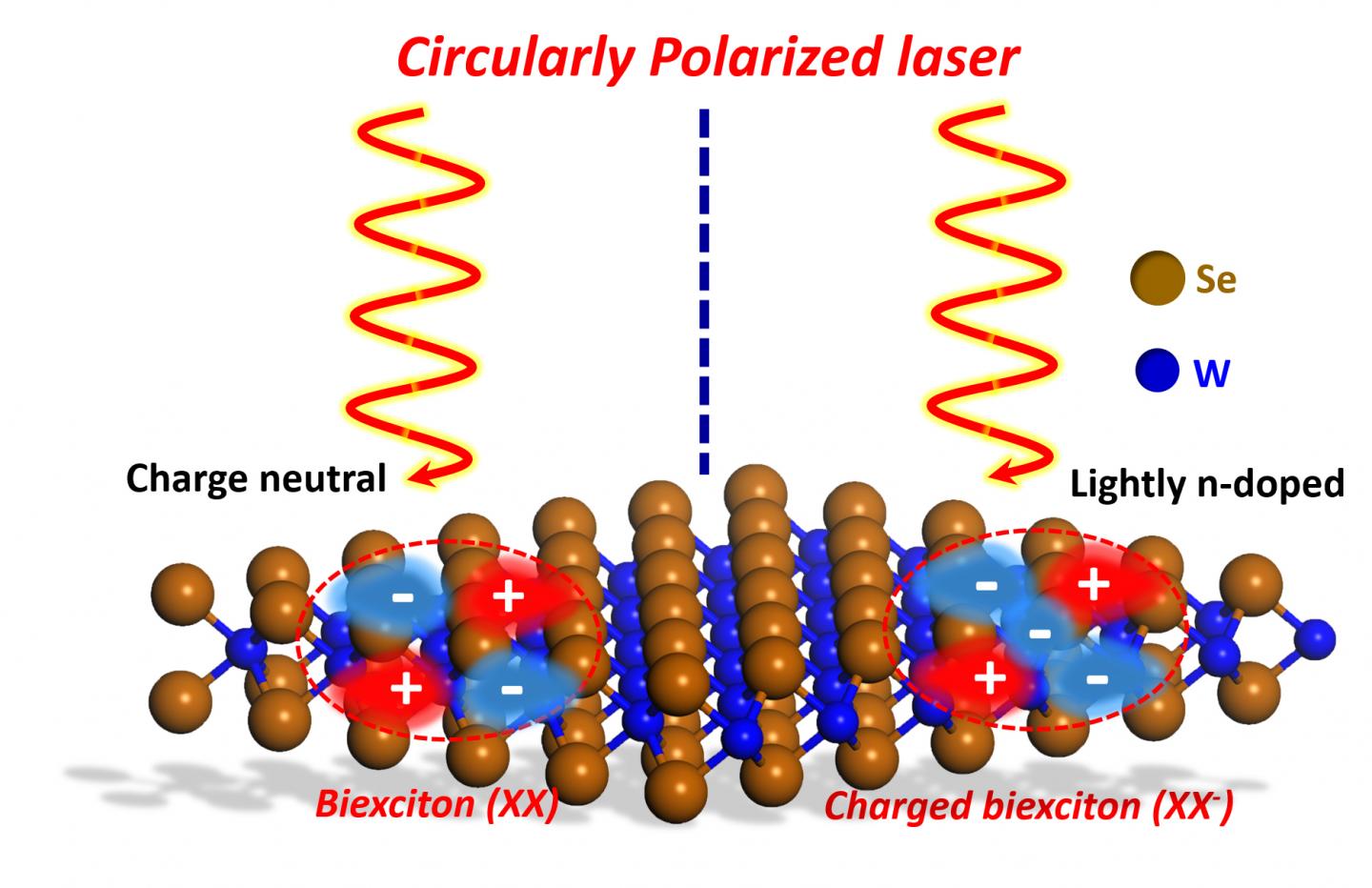 Research on Light-Matter Interaction Could Lead to Improved Electronic and Optoelectronic Devices