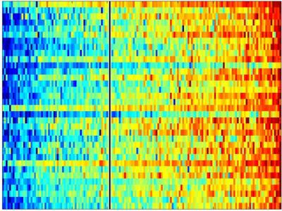 Chemotherapy Genomic Test