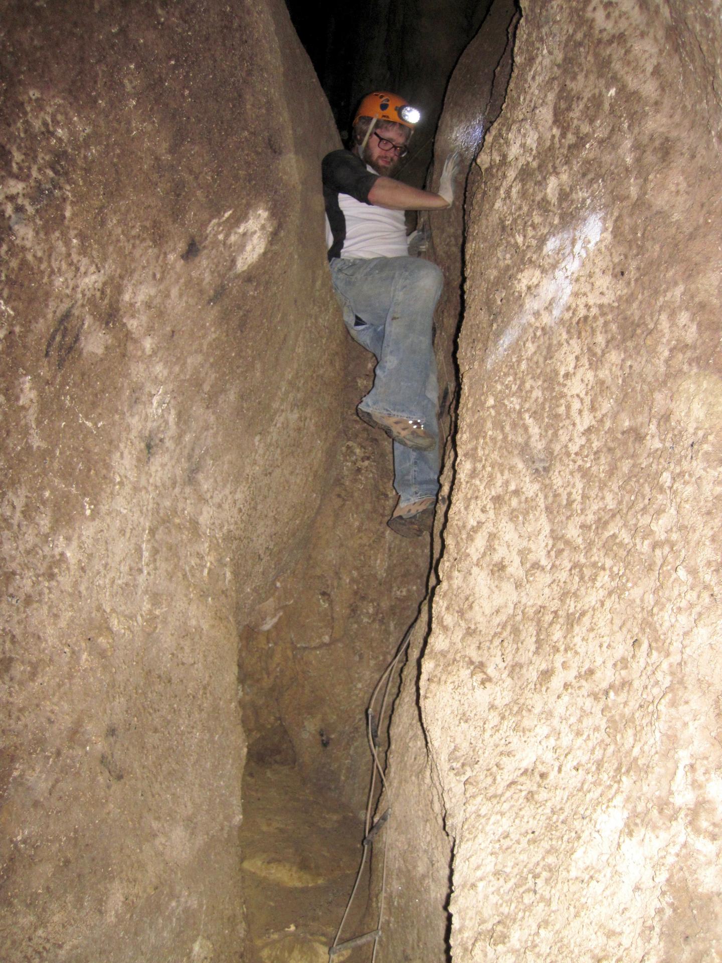 Bat Guano Researched in Romanian Cave