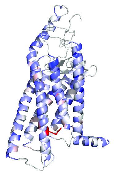 Illustration Schulte Study in Nature Communications