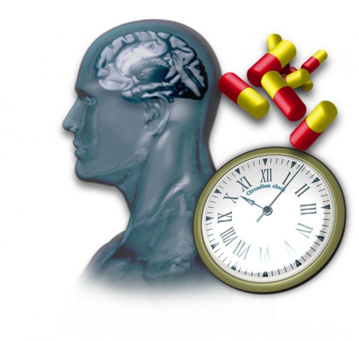 Image of Drugs Acting on the Mammalian Circadian Clock