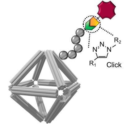 Surface Functionalization of Peptoid-Coated DNA Origami