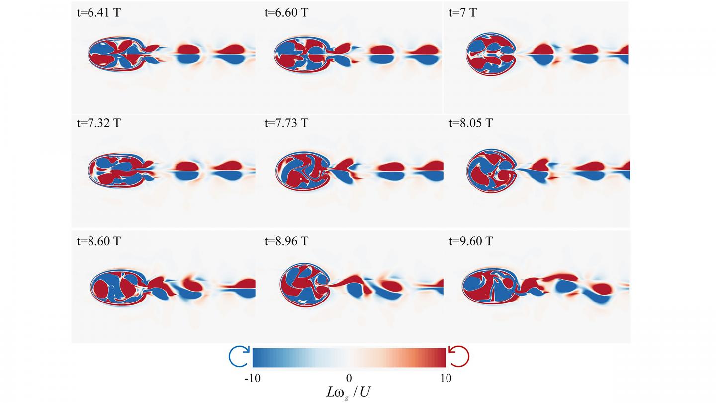 Development of the Vorticity Pattern Into Symmetry-Breaking Instability