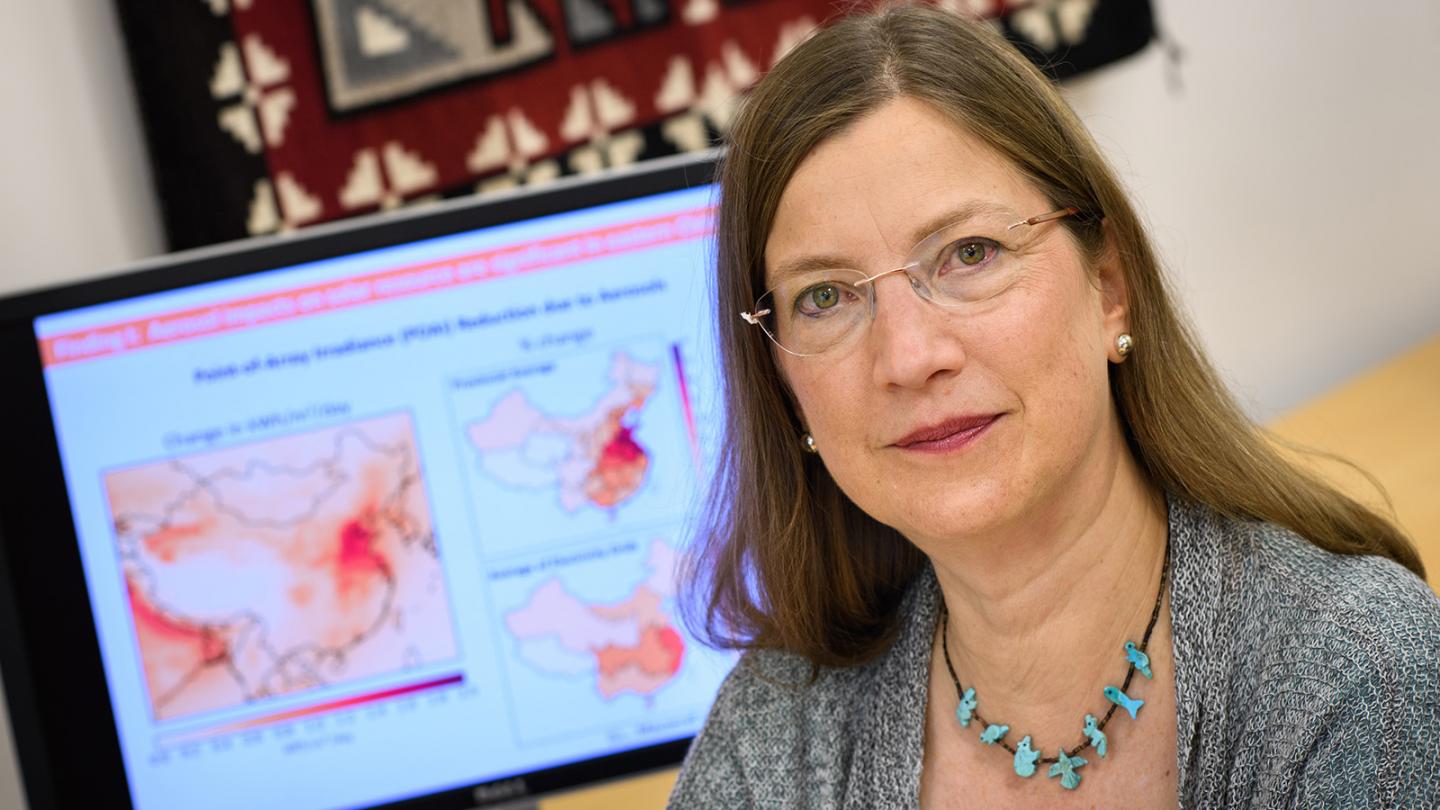 Denise Mauzerall, Princeton University, Engineering School