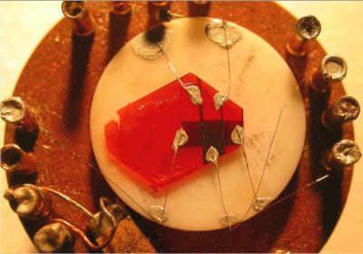 Rubrene Transistor