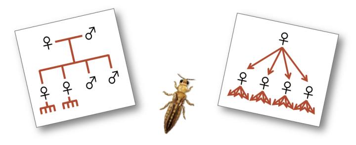 Exploring a Sexual Mystery