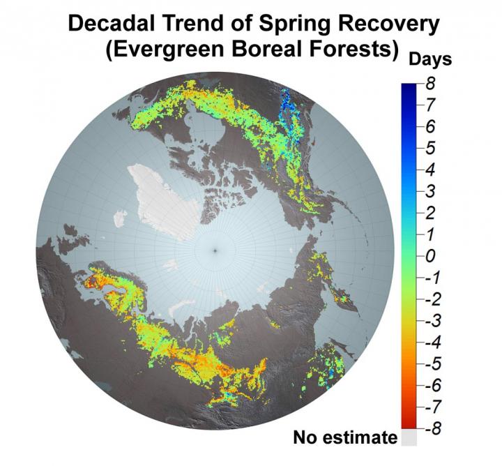 Spring Recovery in Northern Boreal Forests