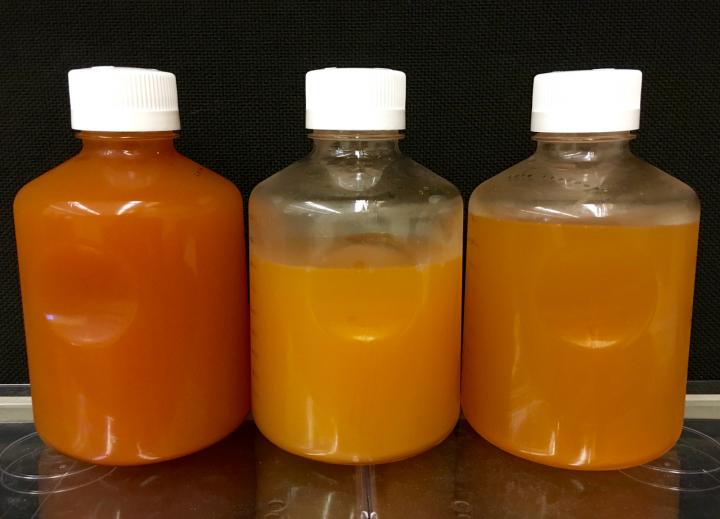 Fluid Samples from Hydraulic Fracturing Wells