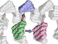 Artist Conception: Protein Units Self Assembling into Filaments