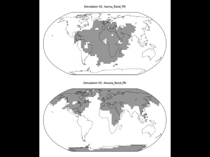 Maps of potential future supercontinents