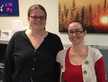 Yellow Canopy Syndrome Researchers