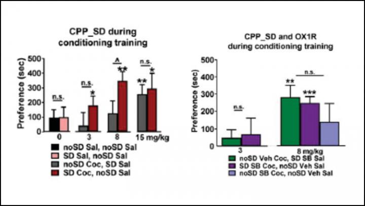 Sleep-Deprived Mice Find Cocaine More Rewarding