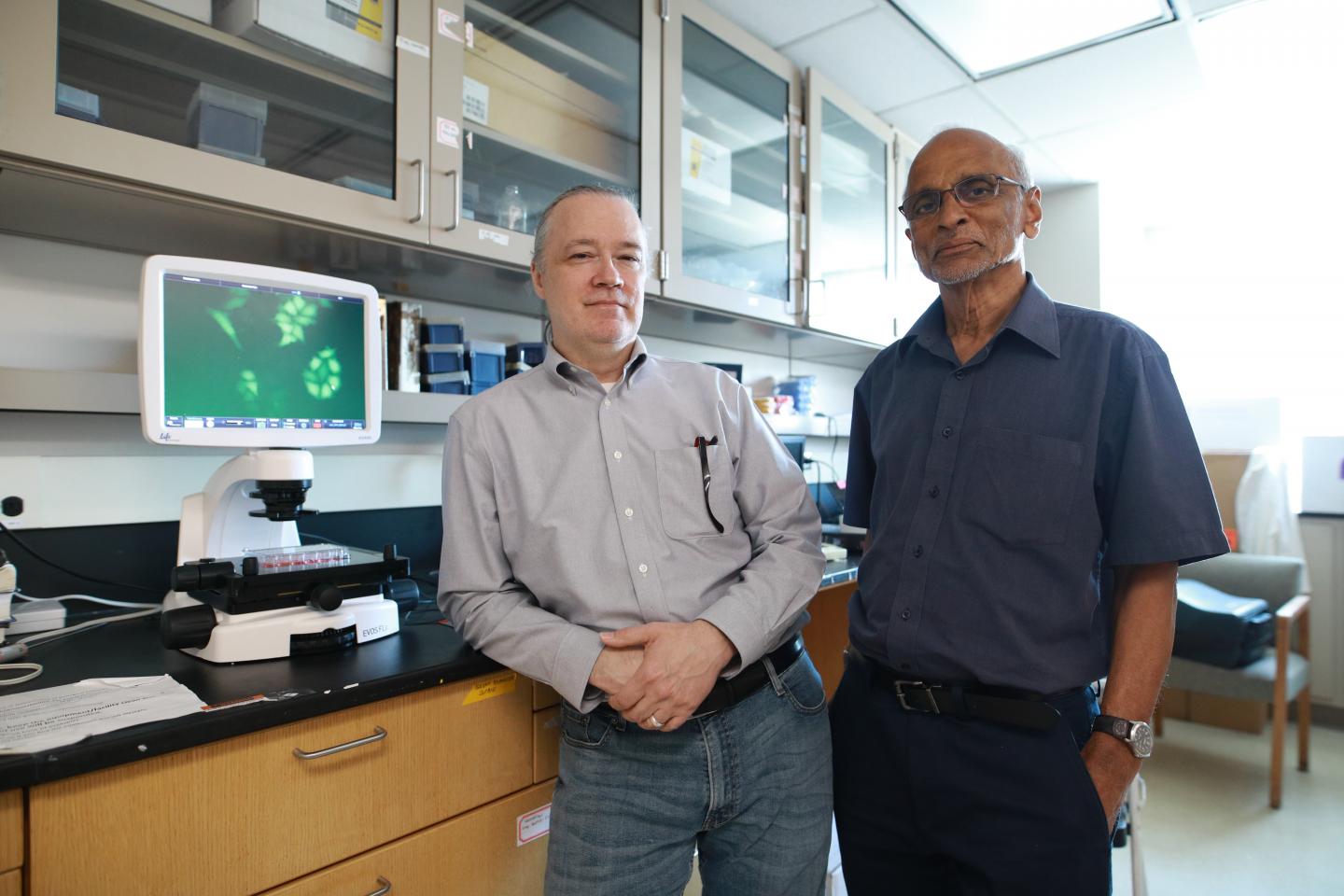 UToledo Researchers