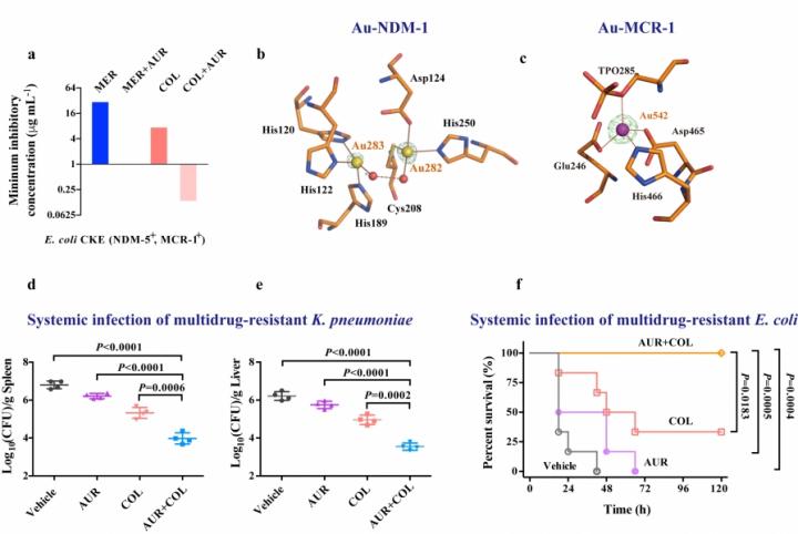 molecules structure