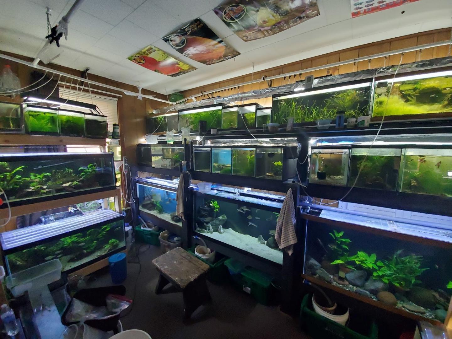 Serious Aquarium Hobbyist [IMAGE] EurekAlert! Science News Releases