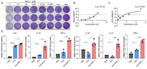 The antiviral efficacy of MH3 Λ against MPXV.