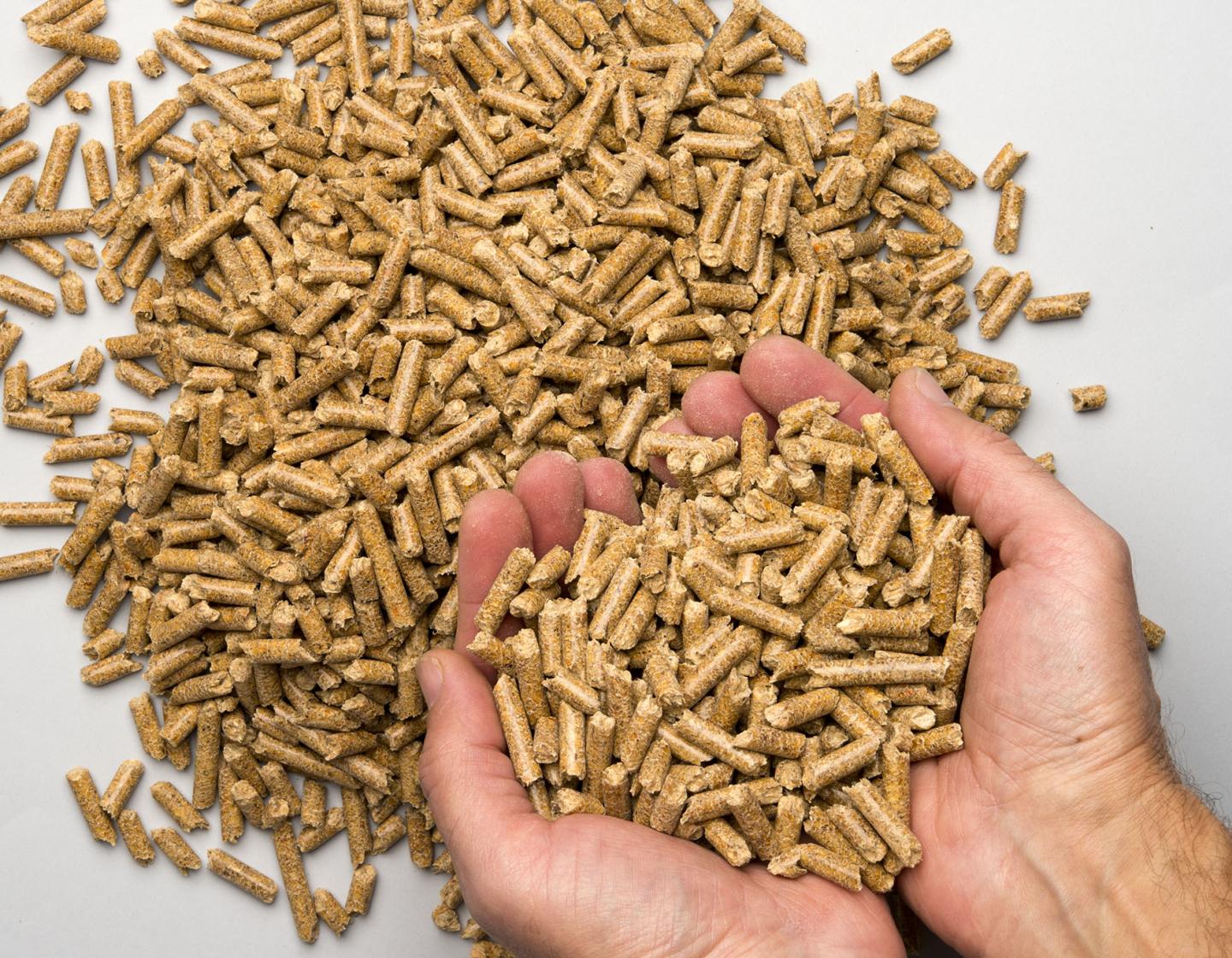 Wood Pellets