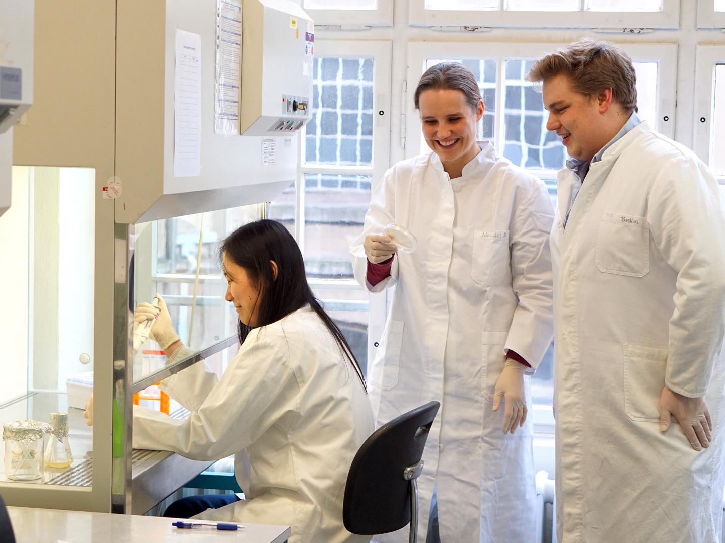 Yingying Yang, Mareike Schallenberg-Rüdinger and Bastian Oldenkott