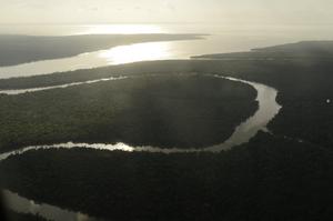 The Amazon rainforest and the Amazon region are ecosystems that react to changing patterns of precipitation. Photo: Thomas Akabane, University of São Paulo