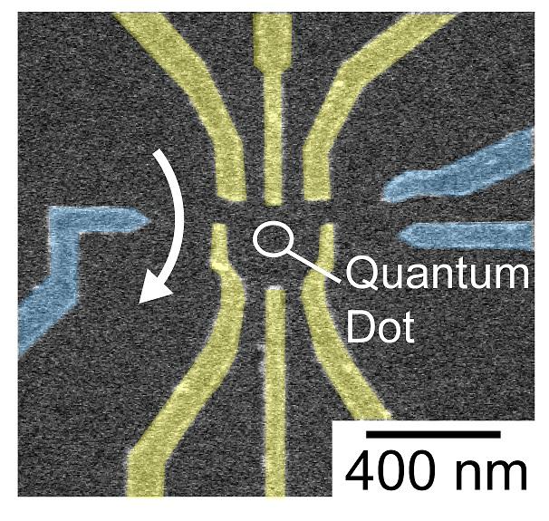 Figure 2 Scanning Electron Microscope Image