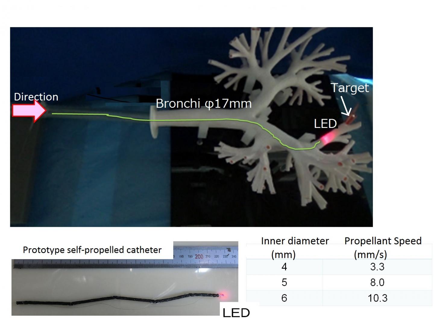 Delivery Experiment within Bronchus Model and a Self-Propelled Catheter Prototype