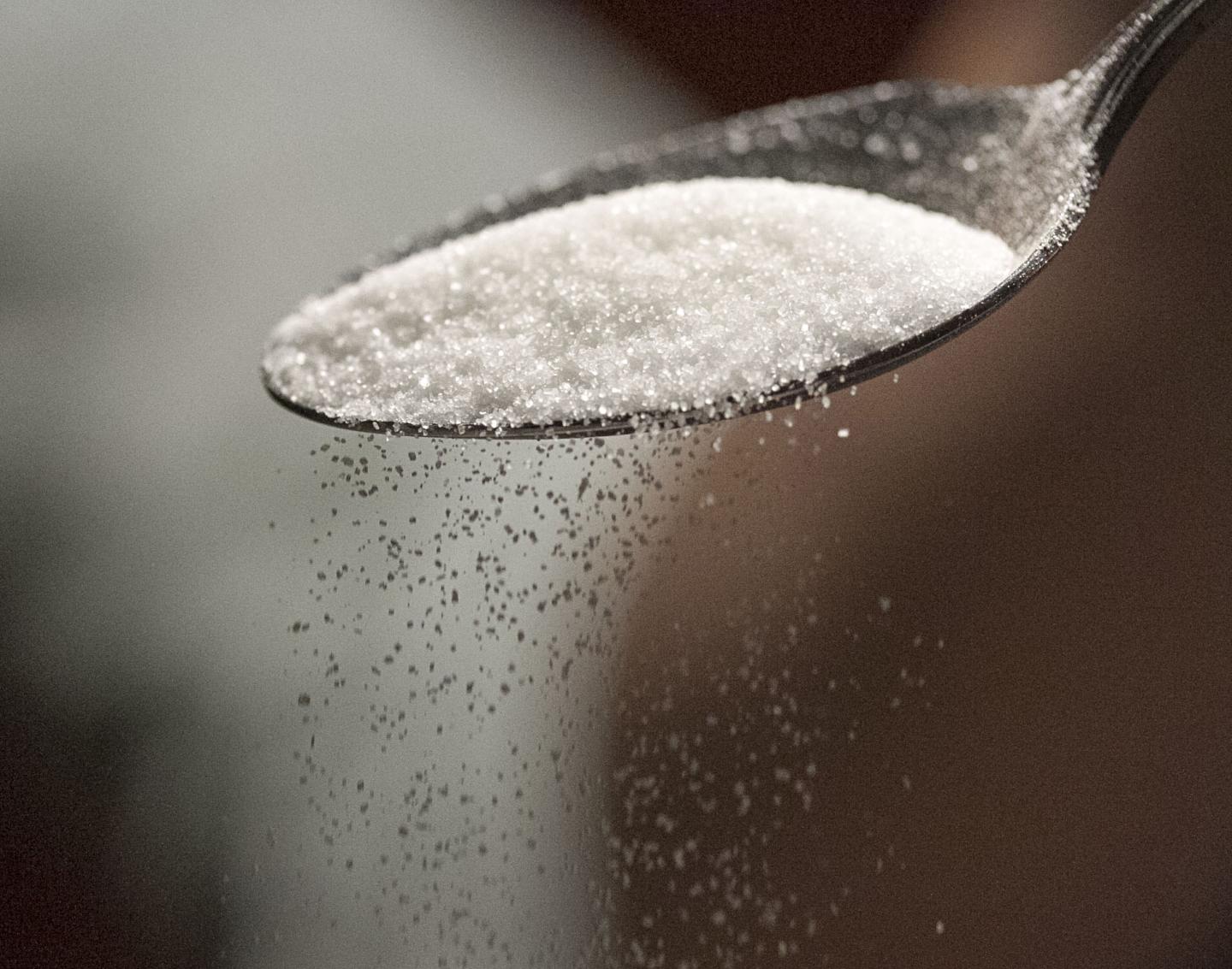 Sugar Too High [IMAGE] EurekAlert! Science News Releases
