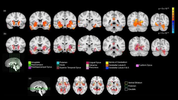 GMV and Cannabis