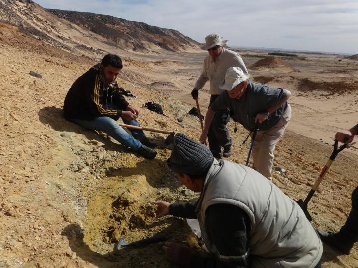 Finding Ancient Fossils in a War Zone