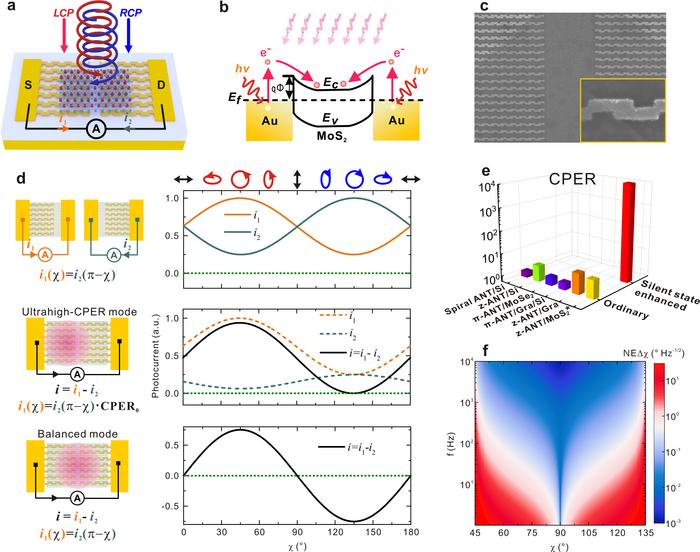 Figure 1 | Structure and working principle of the silent-state-enhanced on-chip infrared circular polarization detector.