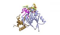 Structure of Enzyme Seen as Target for ALS Drugs (2 of 2)