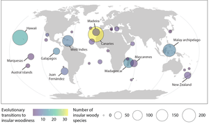 Minimum number of evolutionary shifts to insular woodiness and number of insular woody species on archipelagos worldwide.