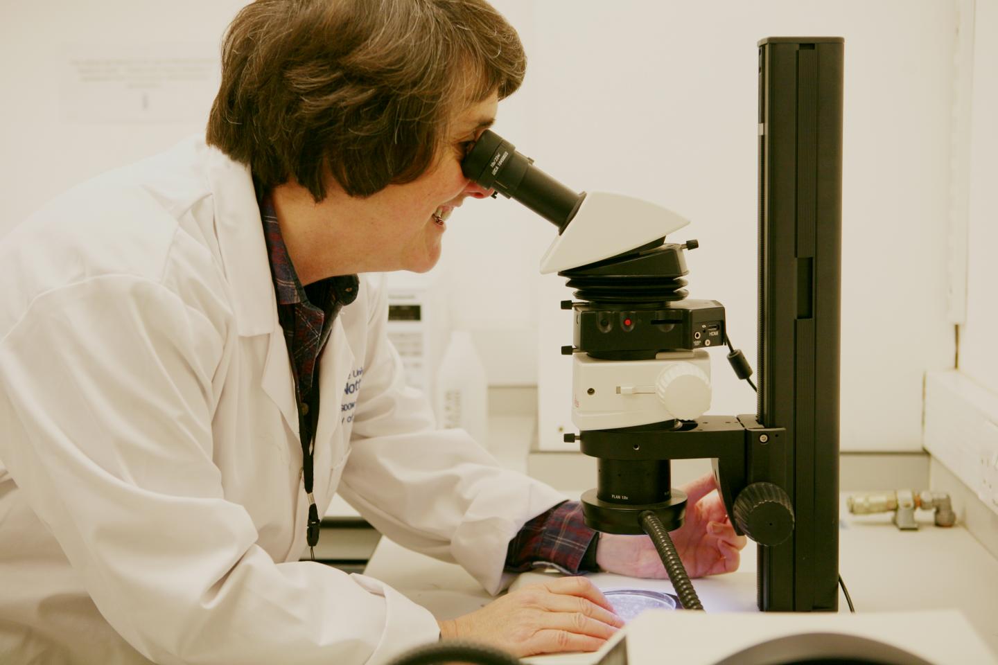 Dr. Nicola Everitt, University of Nottingham