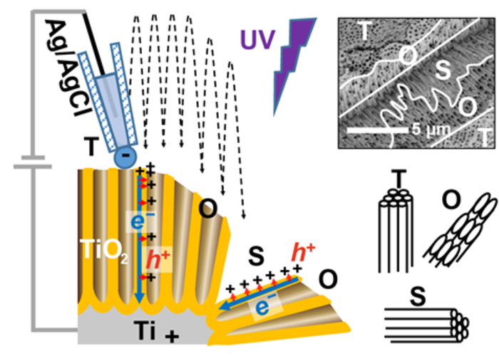 Local analysis by scanning electrochemical cell microscopy (SECCM).