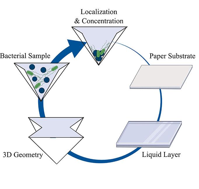 Schematic Detailing the Fabrication of Liquid-Infused Polymer Surfaces