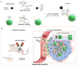 Schematic illustration of M-CAR T microrobots based on magnetic-acoustic sequential actuation for self-controllable guidance towards solid tumors