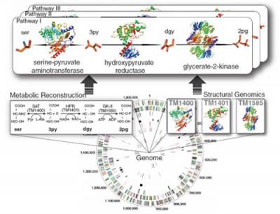 <i>Science</i> Paper Graph