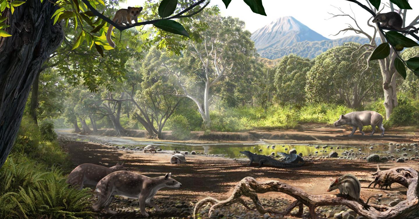 Pontide Biodiversity