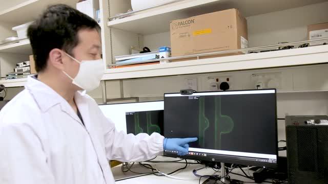 NTU, Brown and MIT team develops AI platform to assess blood vessel anomalies and eye disease