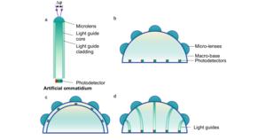 Schematic diagrams of BCACEs