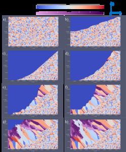 Microstructural evolution of the YZ cross-section simulated using the ExaCA model