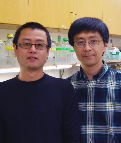 Peiqing Sun and Hui Zheng, Scripps Research Institute